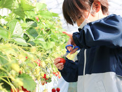 noimamâ̂ւ̓eʐ^1