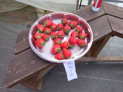 ͂Ƃ肳̃hSt@[ւ̓eʐ^1