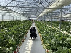 {Ẽ_NoYt@[ւ̓eʐ^4