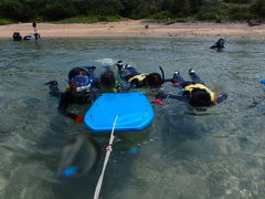 ЂNature Guide Double Rainbow lC`[KCh@_uC{[ւ̓eʐ^1