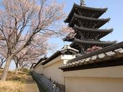 han̍юi_ސ쌧sj̓eʐ^1