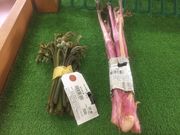 Ƃ񂳂̓̉w ̗Eт̓eʐ^2