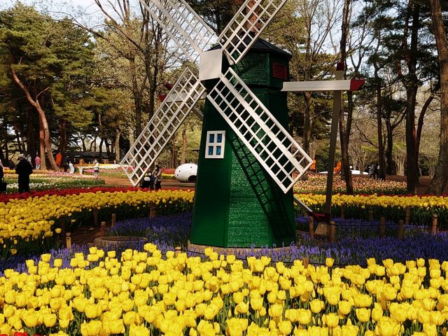 �����ȃ`���E���b�v_���c�Ђ����C�l����