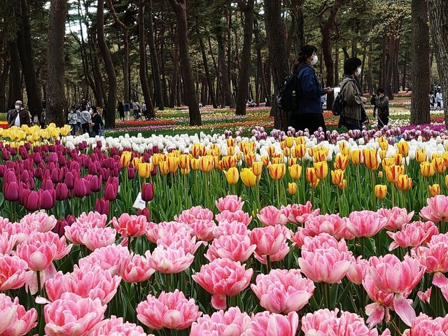 �����ȃ`���E���b�v_���c�Ђ����C�l����