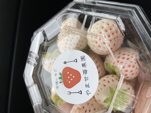 ���C�`�S�����������������܂�_��܂��C�`�S�_��