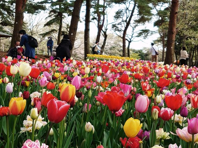 �����ȃ`���E���b�v_���c�Ђ����C�l����