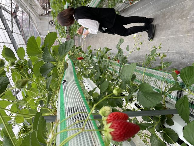 �Y��ȒʘH_�����o�v�_��