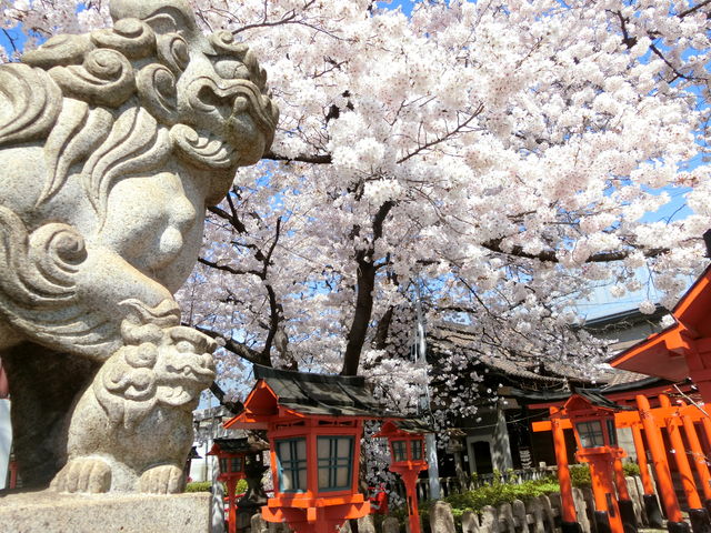 �Z�����_��