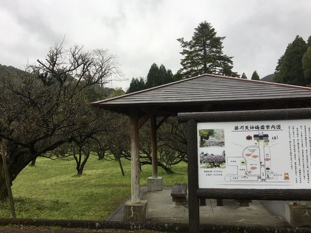 poporon̐_ЁiV_j̓eʐ^5