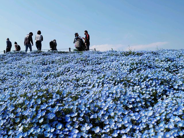 �l���t�B�����O�~_���c�Ђ����C�l����