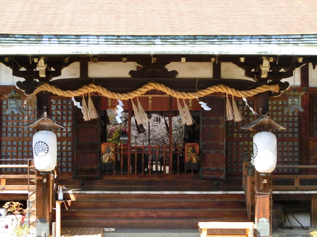 �Z�����_��