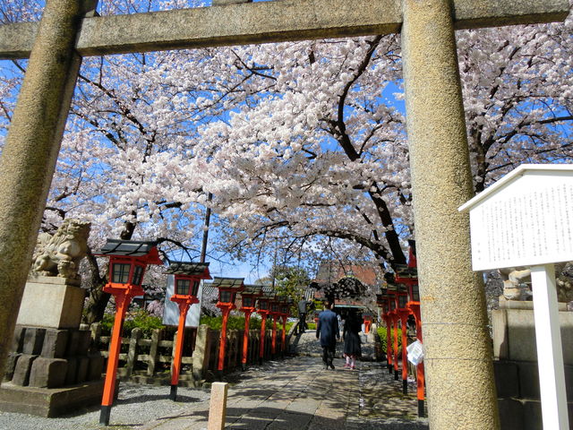 �Z�����_��