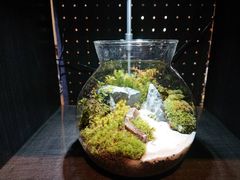 ���悫�悳��̑ۈ����-Scale-�ւ̓��e�ʐ^1