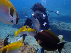 hidetoshi̐̓A@Dive@ւ̓eʐ^1