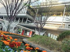 こいさんの博多駅への投稿写真1