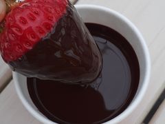 ͂炳̐V񂾔_ȉւ̓eʐ^1