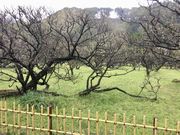 poporon̐_ЁiV_j̓eʐ^4