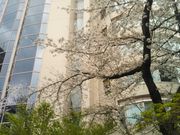 tjtj̃UEvX@^[̓eʐ^1