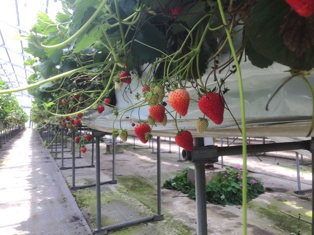 �����̂��̂������c���Ă����ہB_�������͂������e