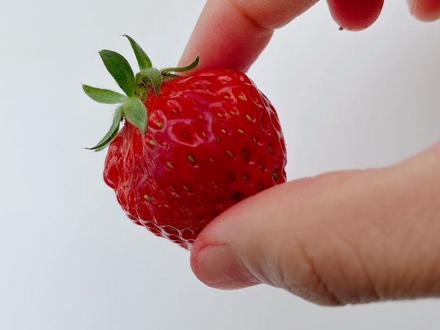 つやつやいちご_ロックファーム京都(あざといちごハウス)