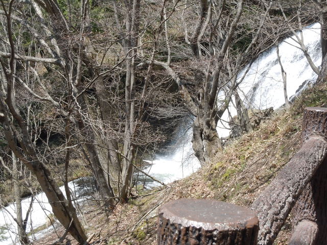 �㕔��V�������猩���ʐ^�B_����