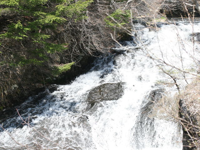 �g�߂ɒ��߂��܂��B_����