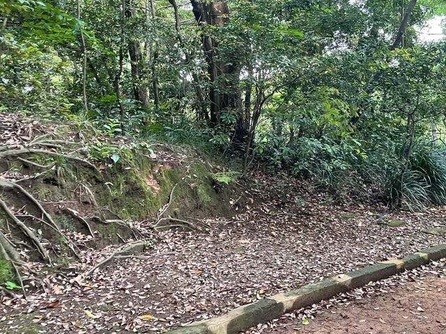 �V����_��R���R�V����