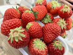 ق񂾂̂_sAbc@ւ̓eʐ^1