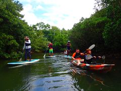 \ ADVENTURE PiPi̎ʐ^1