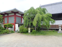 マイＢＯＯさんの地蔵寺（徳島県小松島市）への投稿写真1