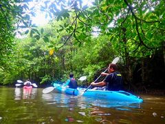 \ ADVENTURE PiPi̎ʐ^1