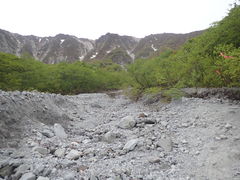 }Cann΂̉͌ւ̓eʐ^1