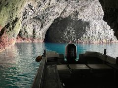 R^ ^m̏M̓AN[Yւ̓eʐ^1