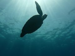 䂤̃}Vbvtaitaiւ̓eʐ^1