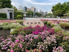 4�l�̂��[����񂳂�̒��������ւ̓��e�ʐ^1