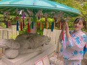 ����������̍������̓��e�ʐ^1