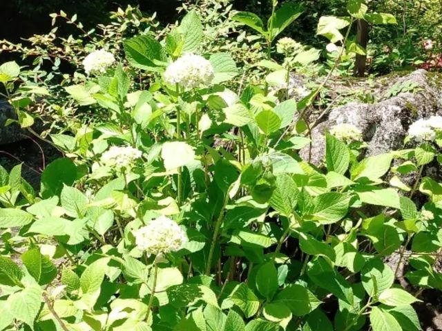 2022�N6��13���@���߂̎��z��_������