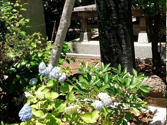 2022�N6��13���@���߂̎��z��_������