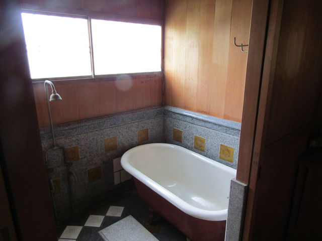 �n�C�J���Ȃ����C_�ɓ������q�L�O��