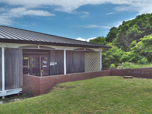 sklfh̏RِՃKC_X{݂̓eʐ^1