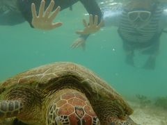 ܂̈ɗǕ}KCh}nւ̓eʐ^1