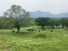 笹ヶ峰牧場の写真一覧 じゃらんnet