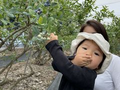 ȂȂ̔xu[x[t@[ւ̓eʐ^3