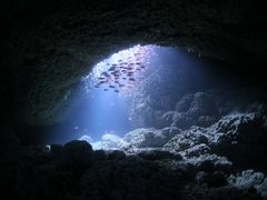 }R̃}nEXJiAւ̓eʐ^1