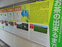 񂳂̃OsAqVւ̓eʐ^11