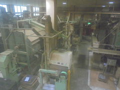 񂳂̃OsAqVւ̓eʐ^8