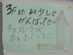 񂳂̃OsAqVւ̓eʐ^9