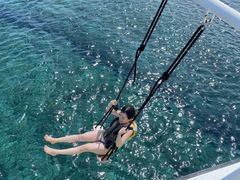 ݂̌cǊ(P})C攼cA[X@OPGւ̓eʐ^1