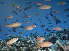 ҂̈ɓ_CrOXN[aJXւ̓eʐ^1