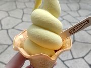 񂳂̋`̉w TOTOCOc̓eʐ^1